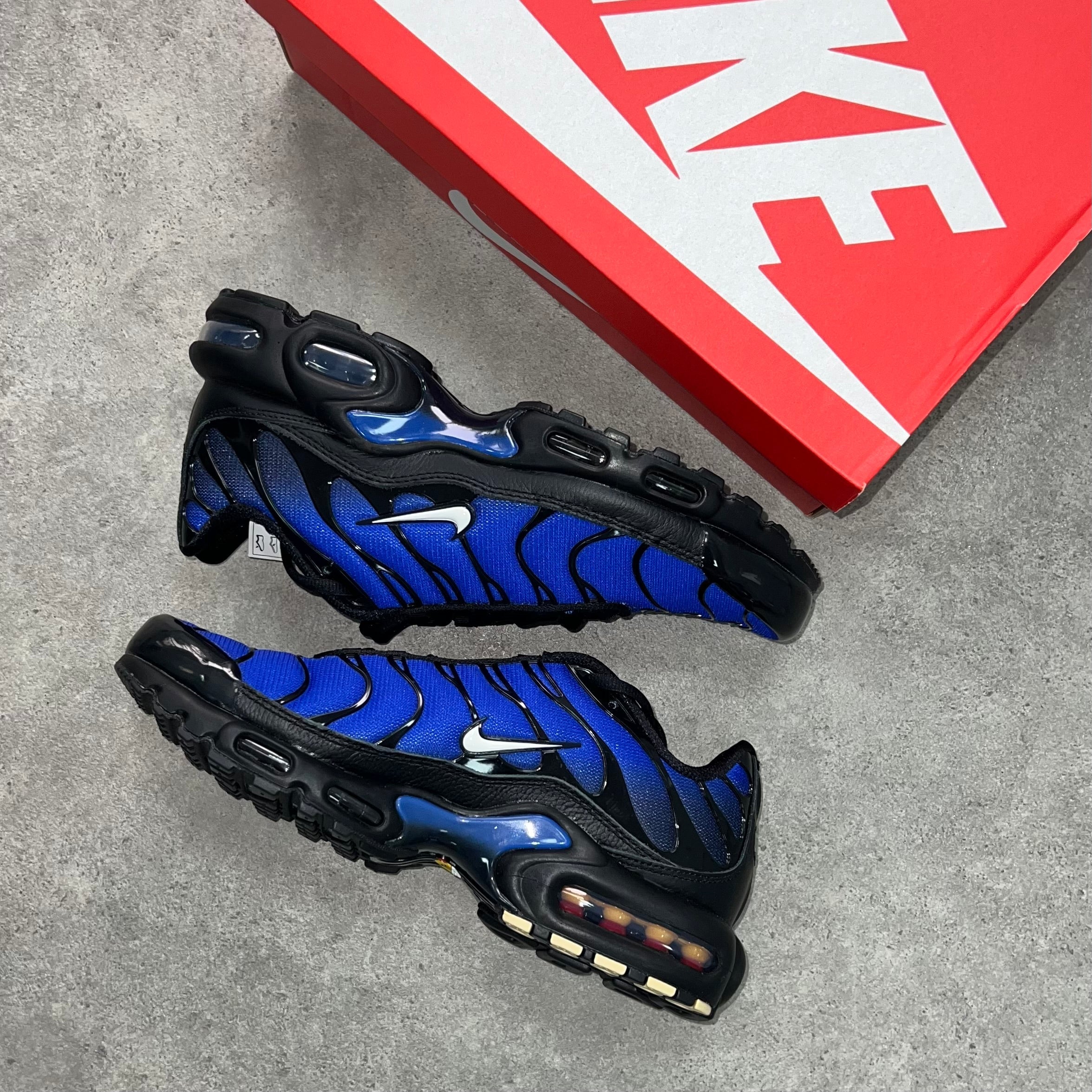 Nike Air Max Plus - Royal Blue